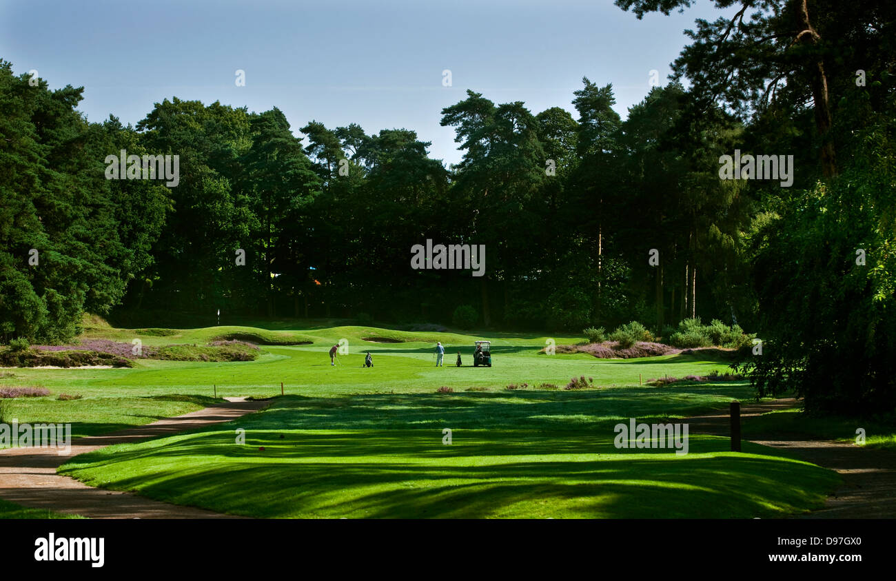 Golf Course, Camberley Heath, Camberley, Surrey, UK Stock Photo Alamy