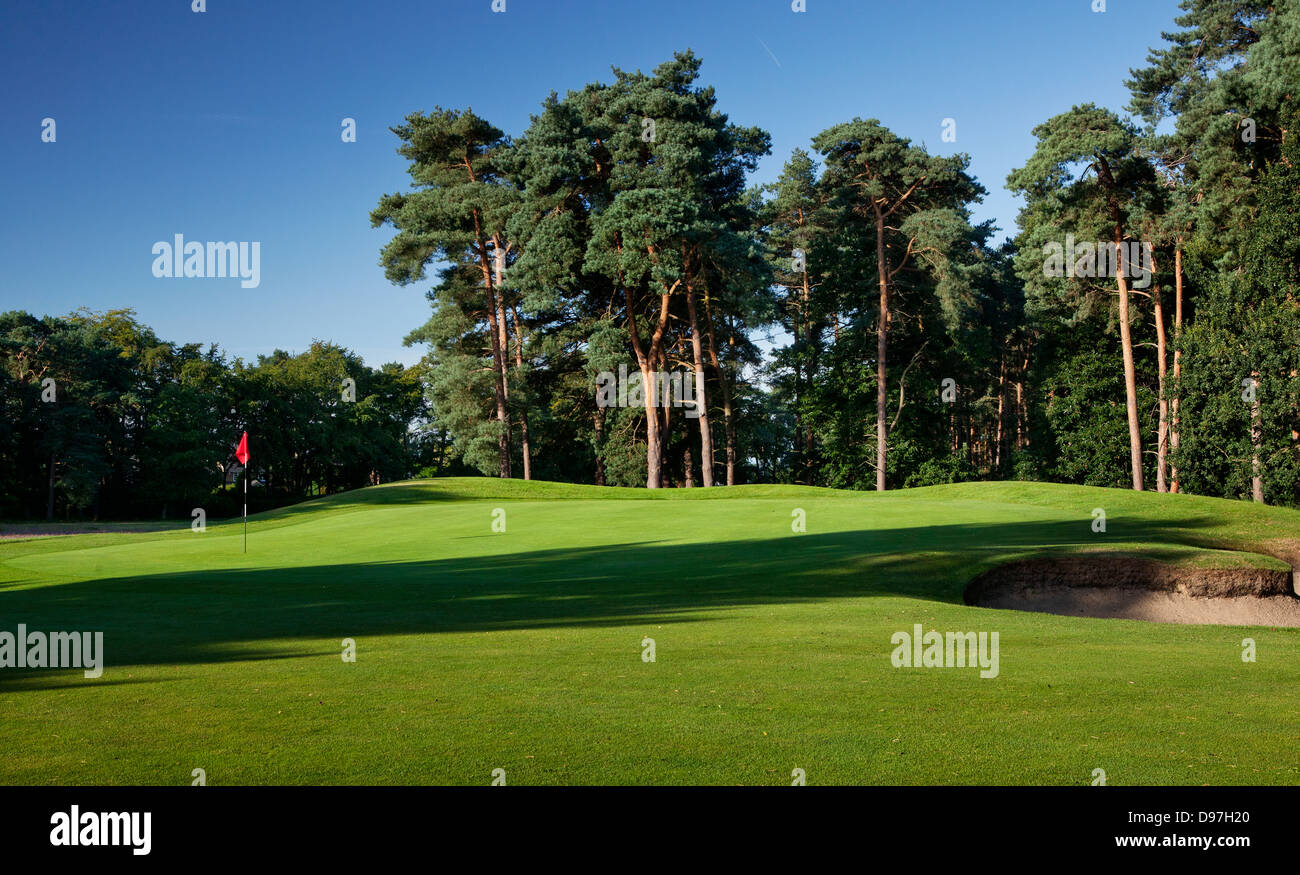 Golf Course, Camberley Heath, Camberley, Surrey, UK Stock Photo