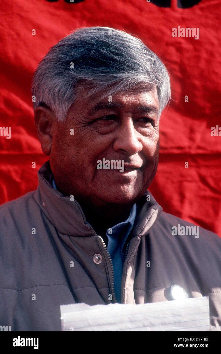 Labor activist Cesar Chavez at a Boycott Grapes Rally on November 16, 1992. (© Frances M. Roberts) Stock Photo