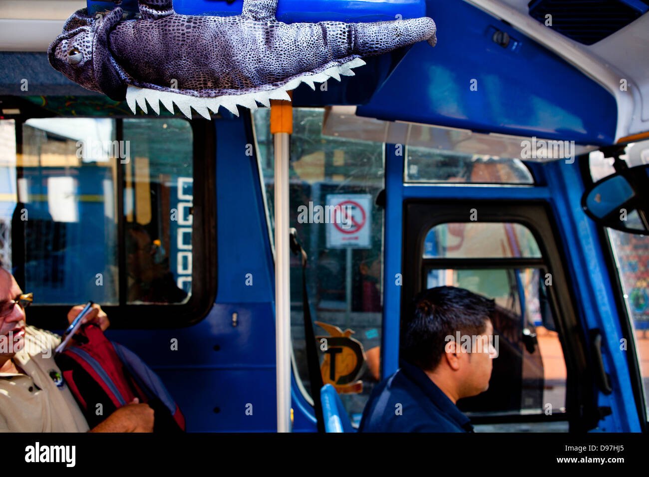 Public bus with iguana passenger! Puerto Ayora, San Cristobel Island, Galapagos. Stock Photo