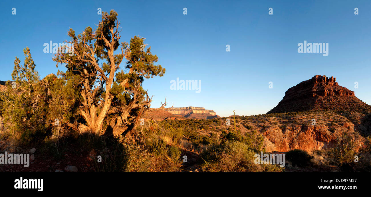 Parts of the Grand Canyon National Park, at Horseshoe Mesa, north of