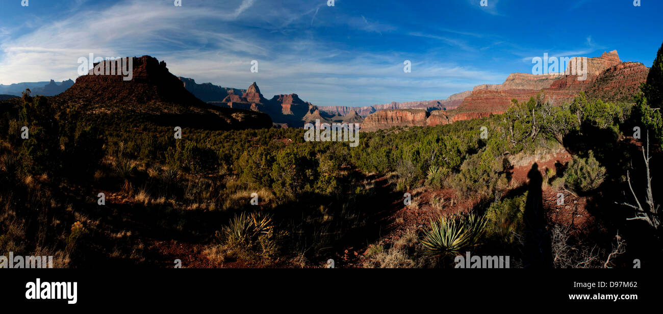 Parts of the Grand Canyon National Park, at Horseshoe Mesa, north of Flagstaff, Arizona, USA. Stock Photo