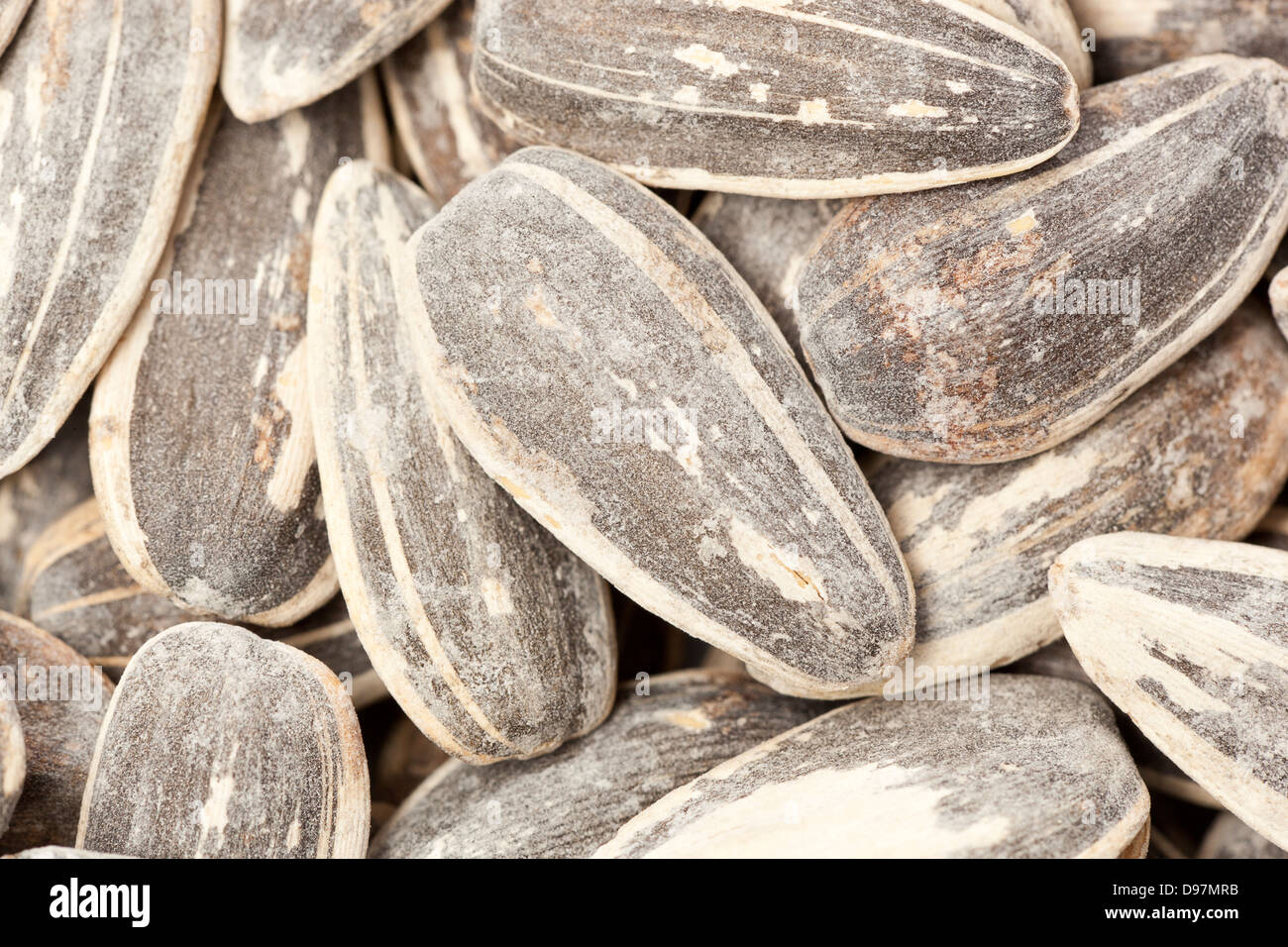 Large pile of Organic Roasted SunFlower Seeds Stock Photo - Alamy