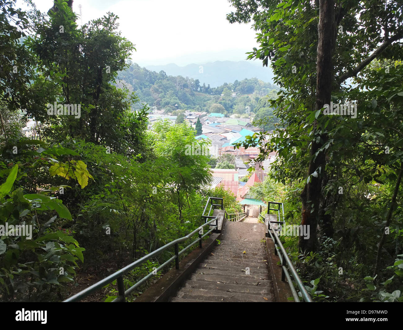 Stair to tropical mountain in northern of Thailand Stock Photo
