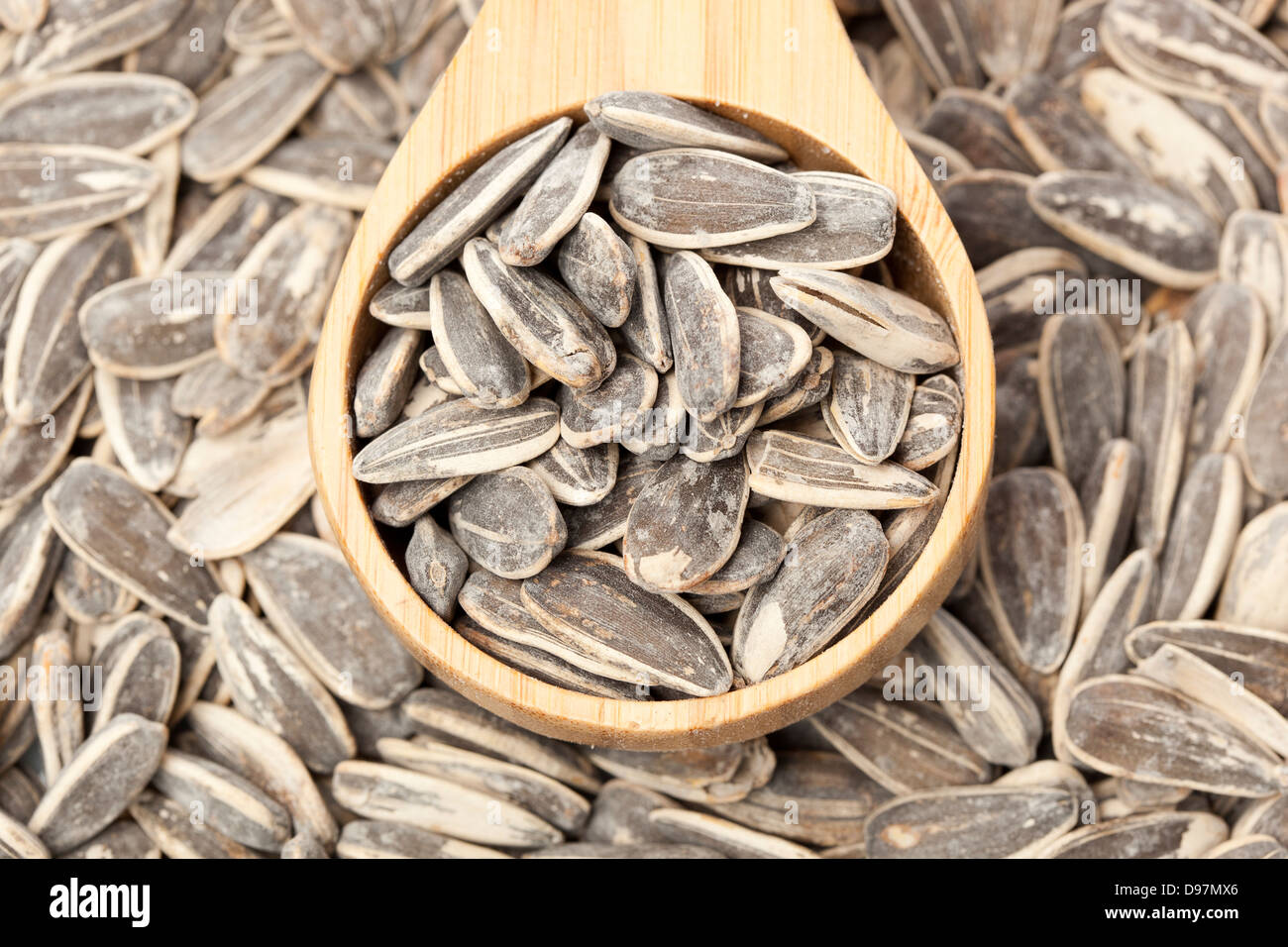 Large pile of Organic Roasted SunFlower Seeds Stock Photo - Alamy