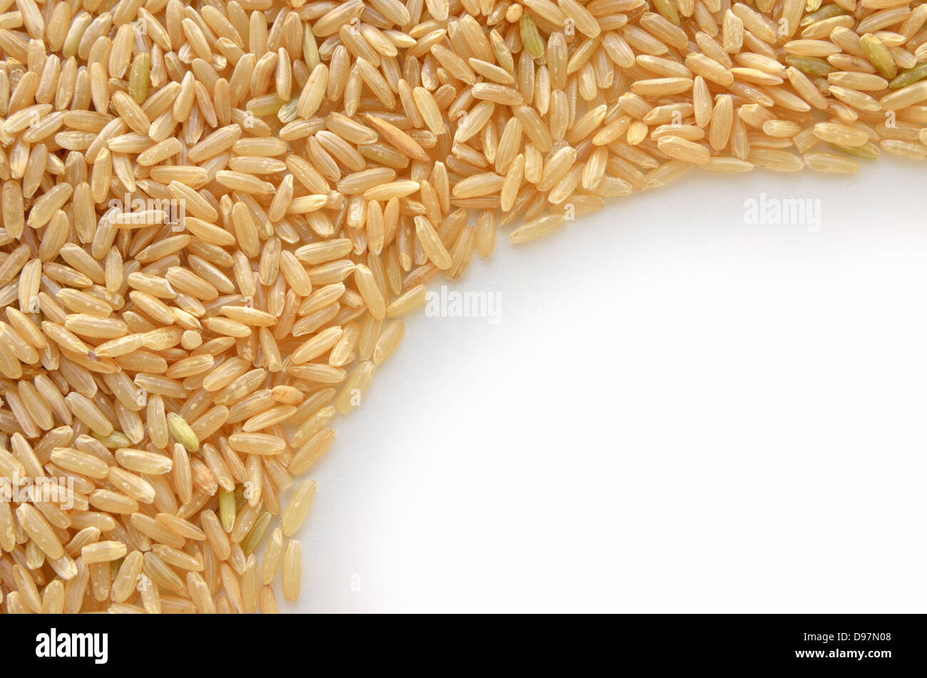 Brown rice seeds isolated on Stock Photo Alamy