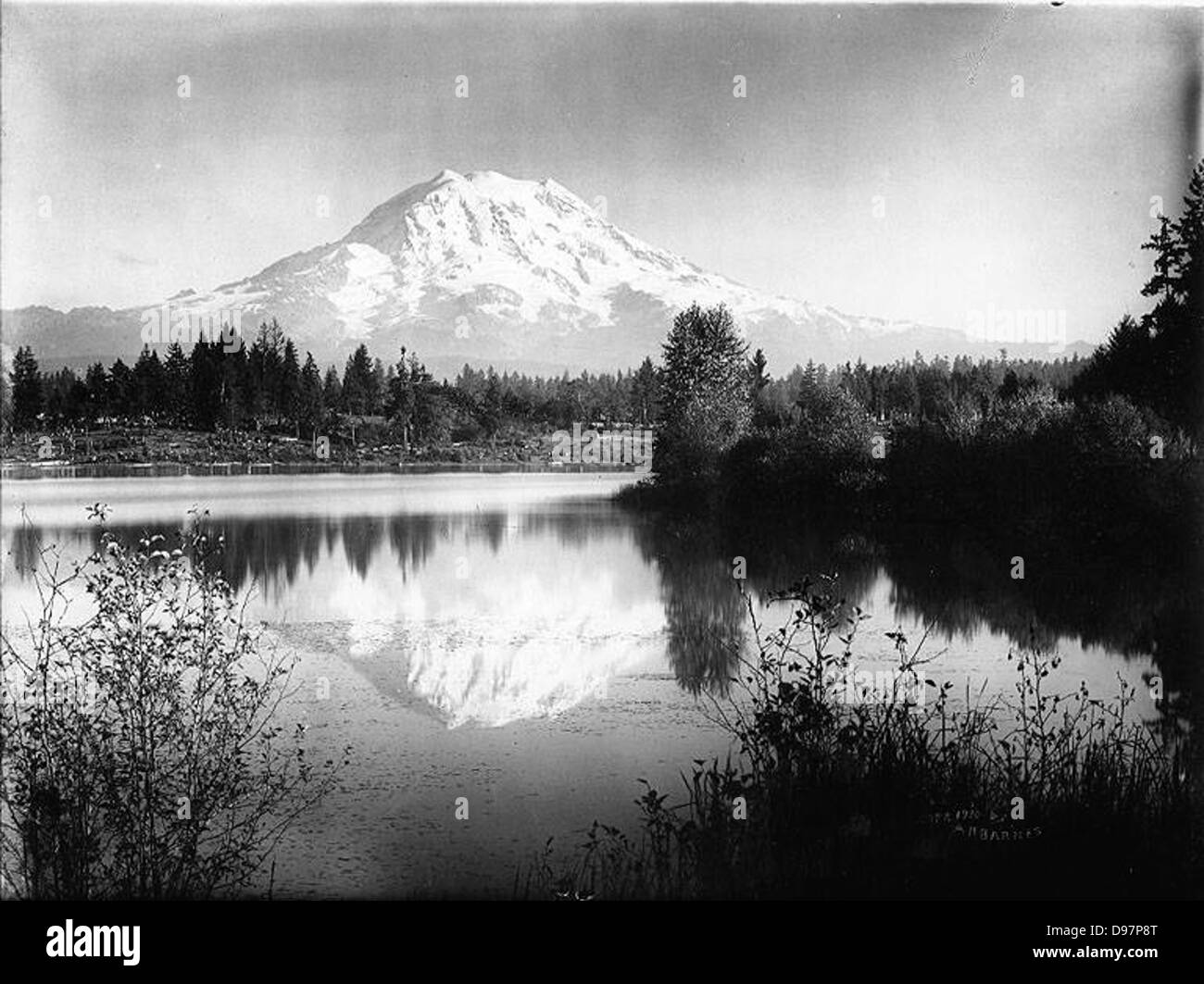 Mount Rainier from Spanaway Lake, Washington Stock Photo