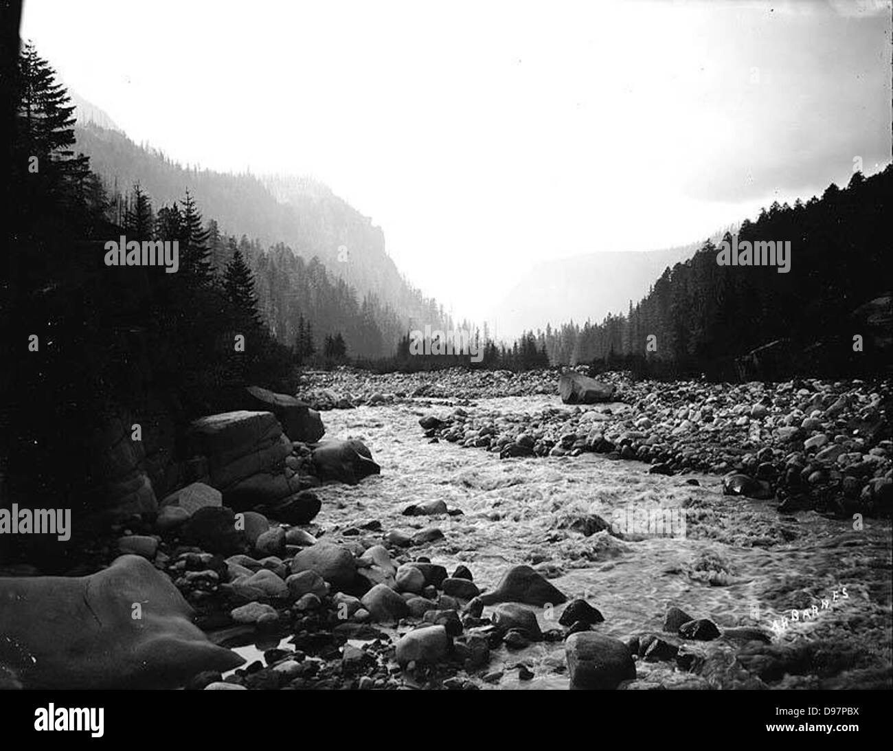 Nisqually River looking downstream, Mount Rainier National Park, Washington Stock Photo