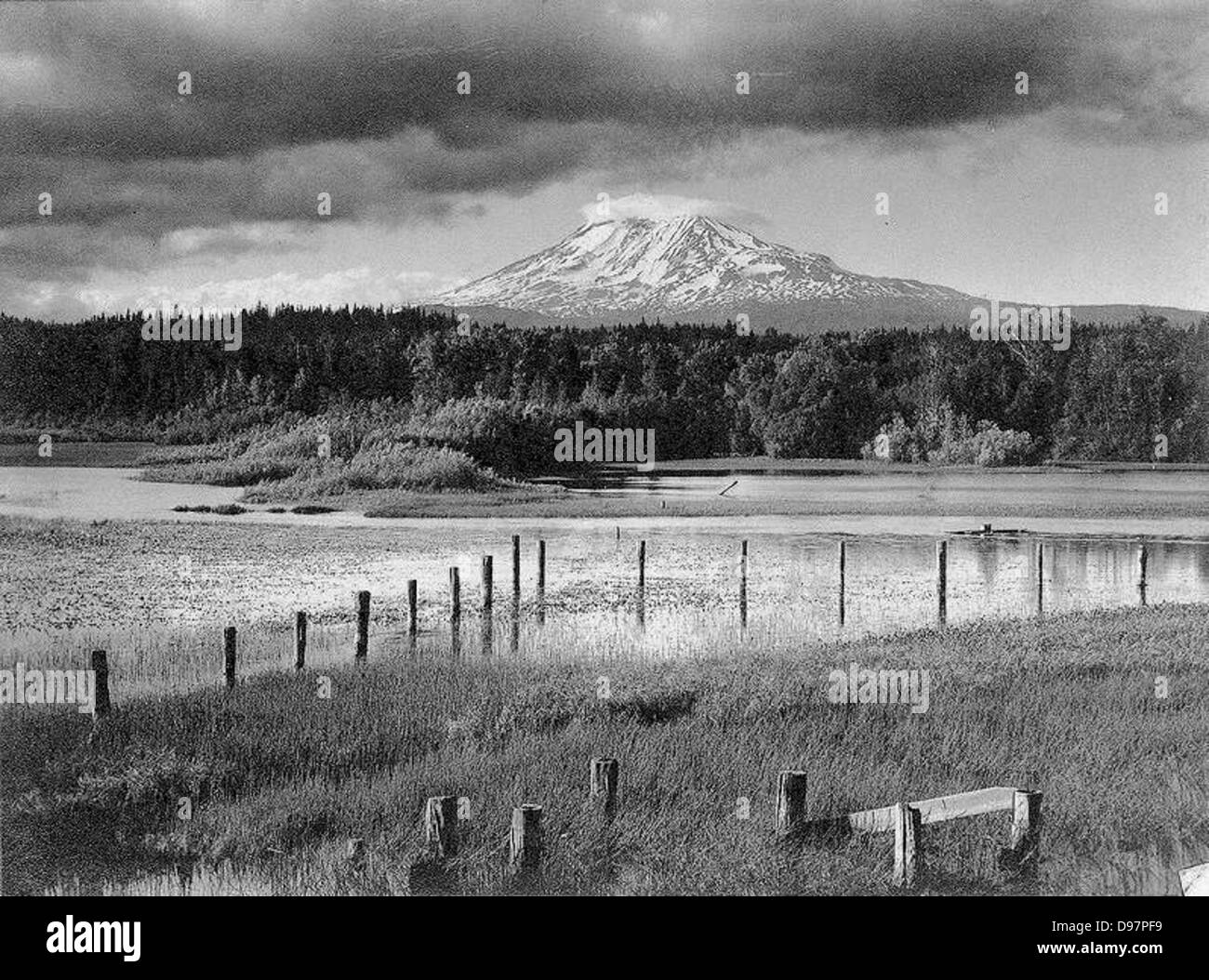 Mount Adams viewed from Trout Lake Stock Photo Alamy