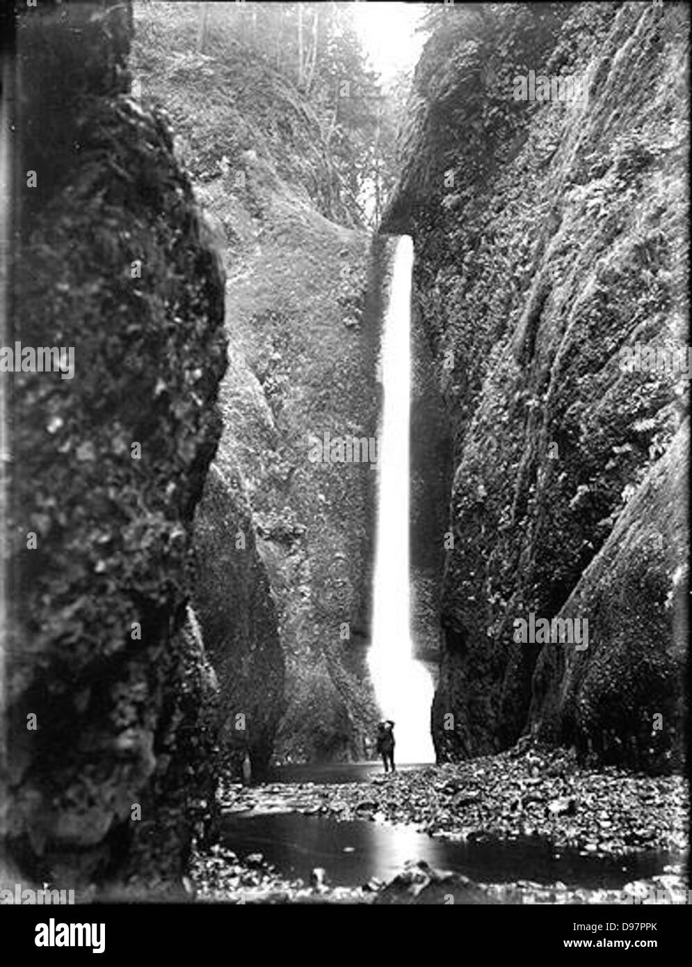 Oneonta Gorge, Columbia River, Oregon Stock Photo