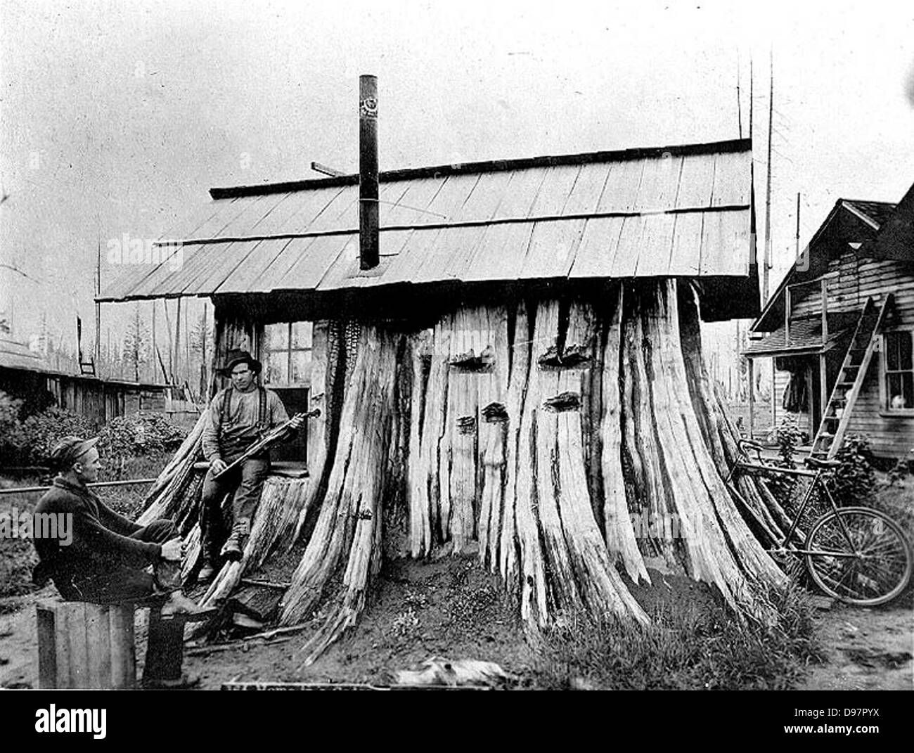 Cedar stump house, Washington Stock Photo Alamy