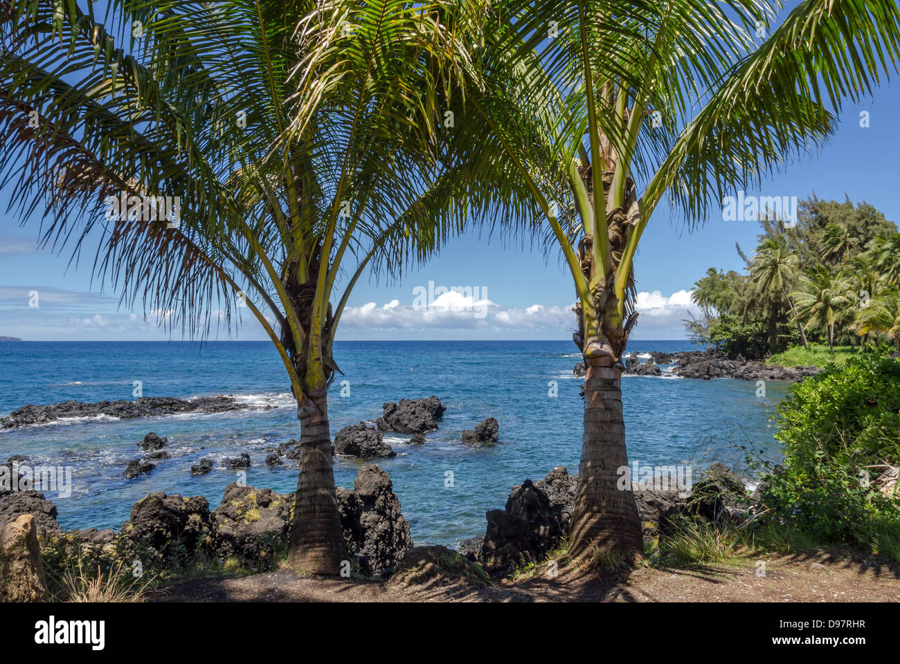 Maui coastline with blue skies and lava rocks Stock Photo