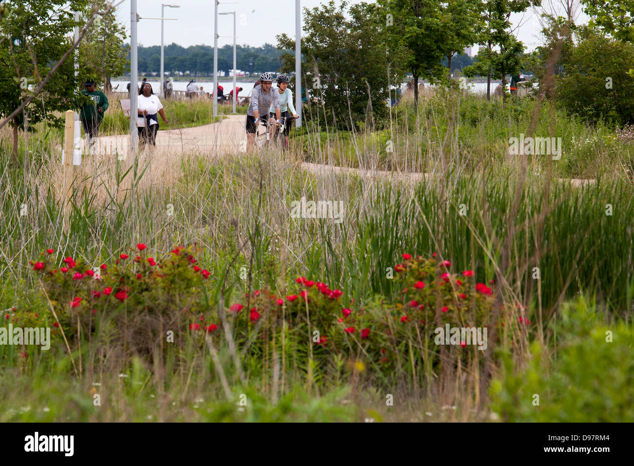 Detroit, Michigan - Cyclists and walkers in Milliken State Park, a small park beside the Detroit River in downtown Detroit. Stock Photo