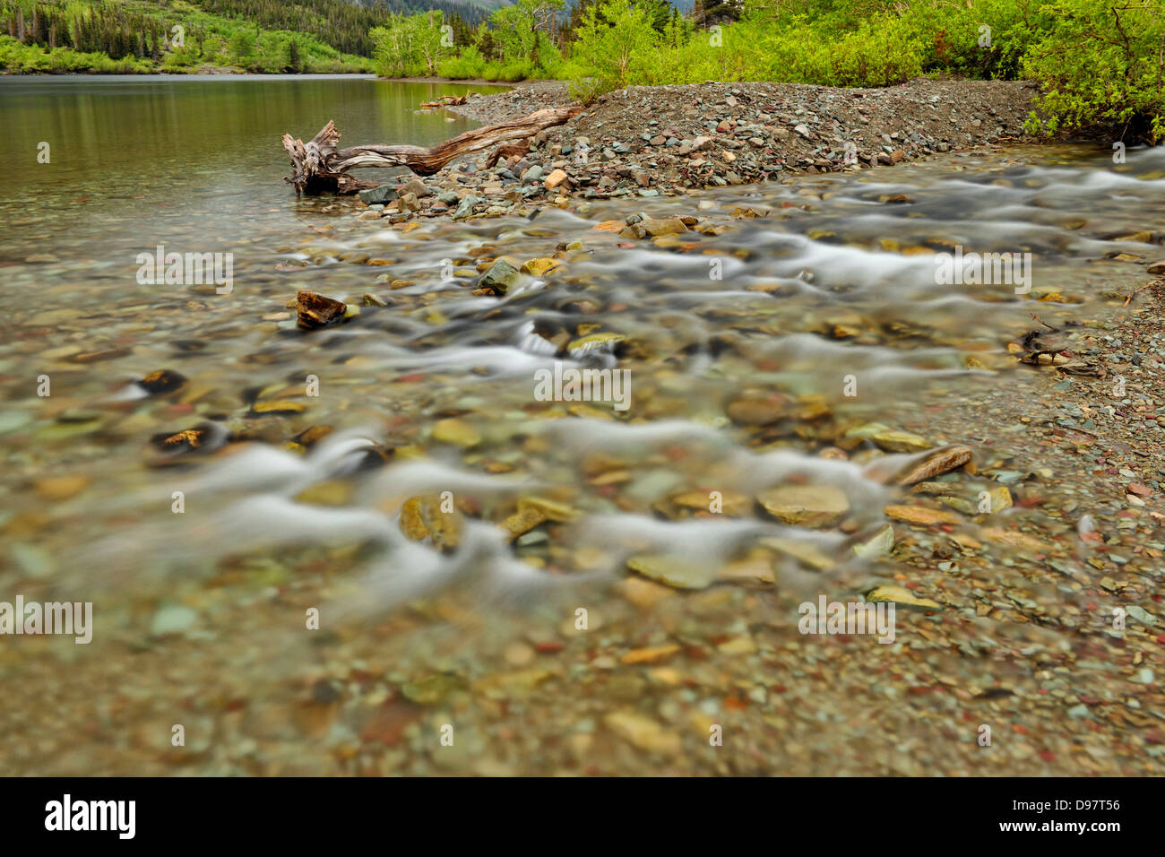 Appistoki Creek entering Two Medicine Lake Glacier National Park ...