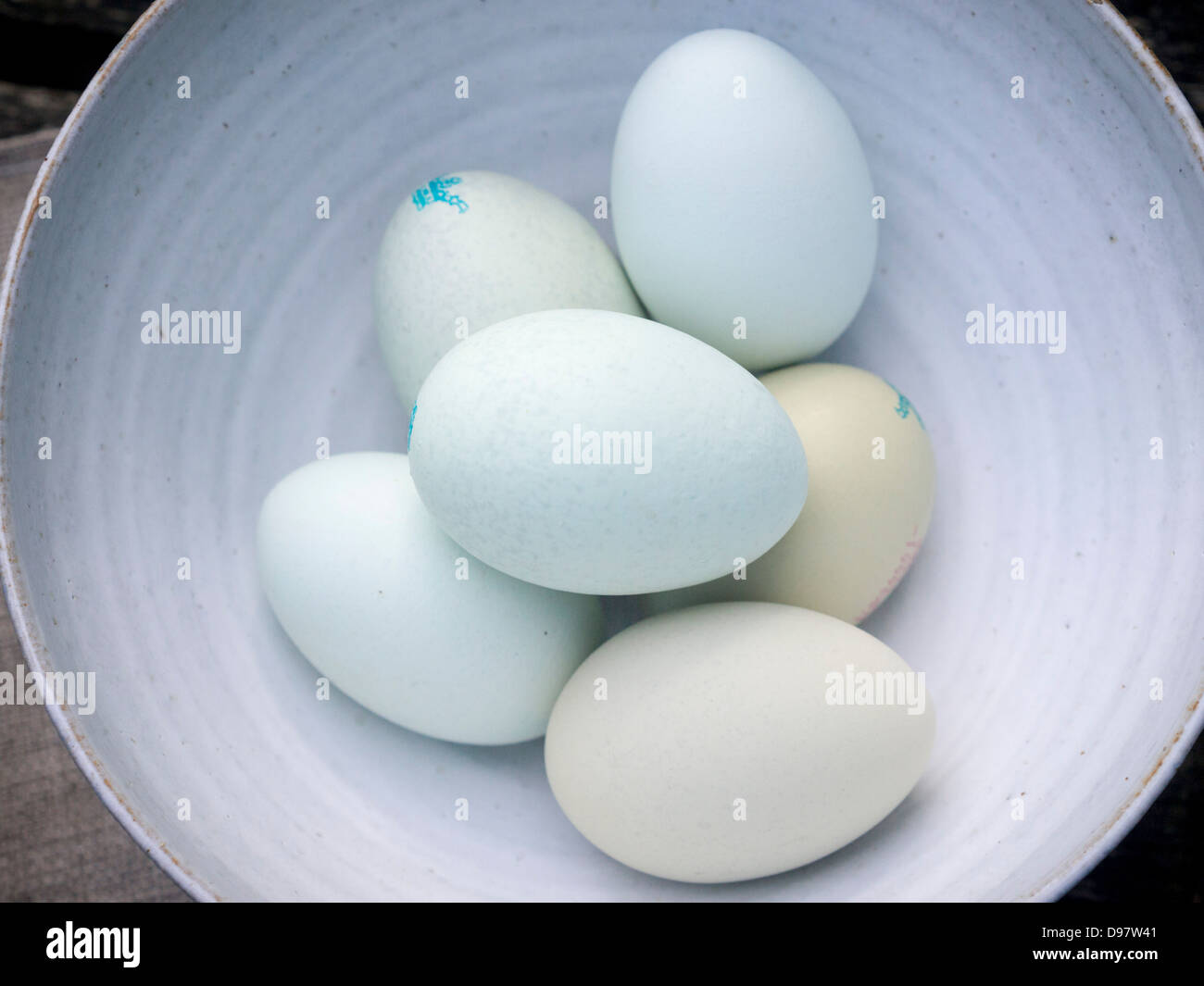 Beautiful naturally coloured blue and green free range eggs in white