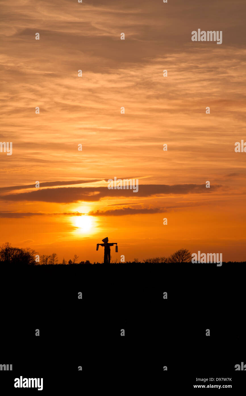 Scarecrow silhouetted by the setting sun Stock Photo