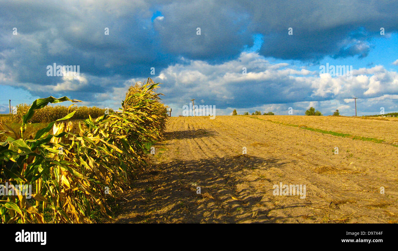 Beautiful landscape with clouds and a kitchen garden Stock Photo