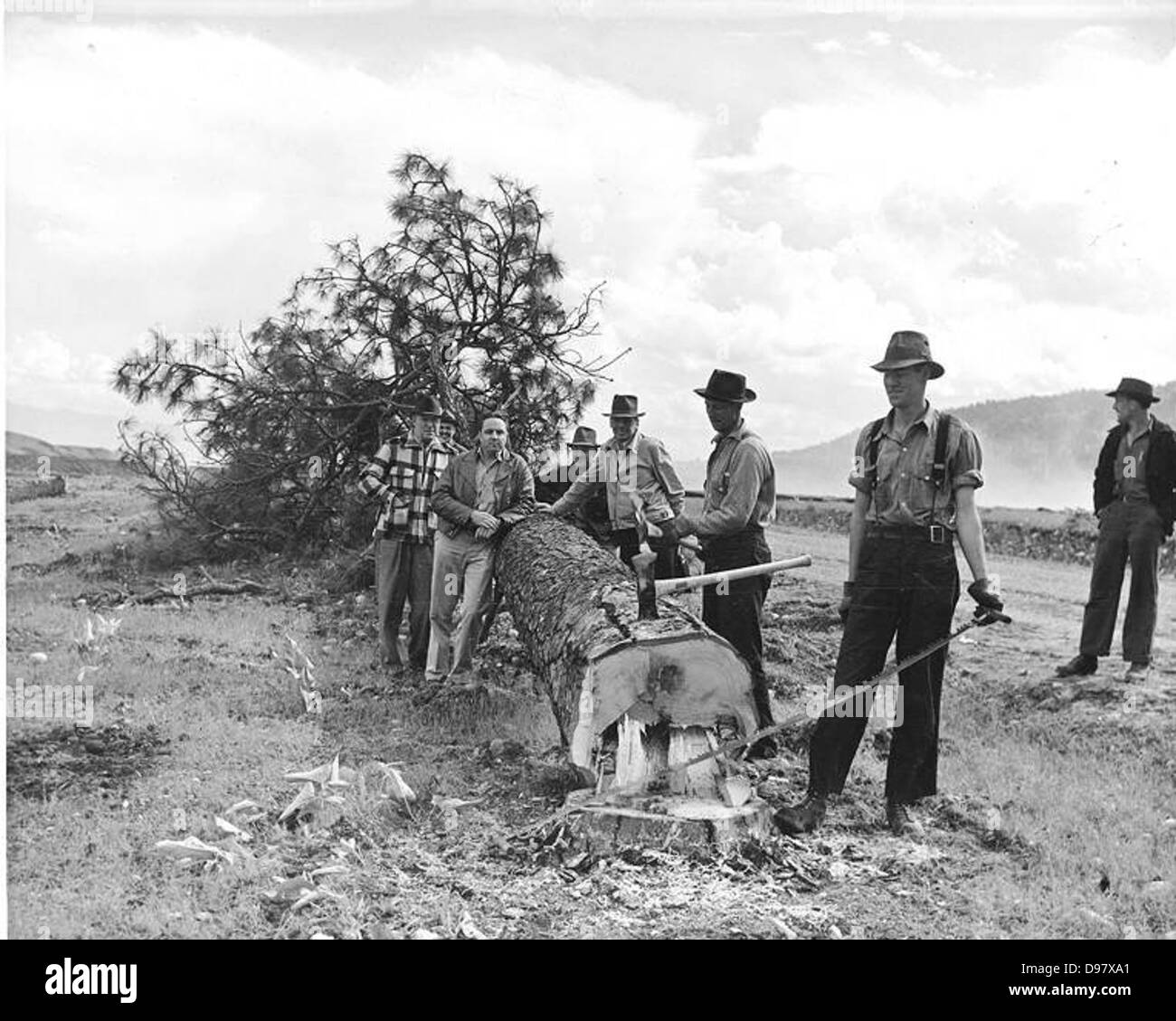 Campgifford hires stock photography and images Alamy