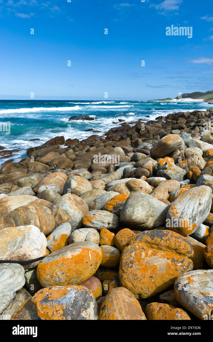 Coastline at Cape of Good Hope, Western Cape, South Africa Stock Photo