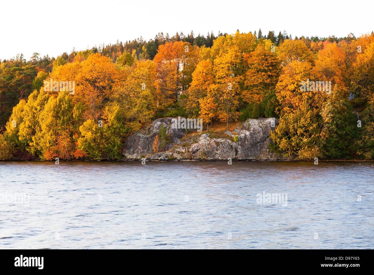 Autumn forest and lake landscape Stock Photo - Alamy