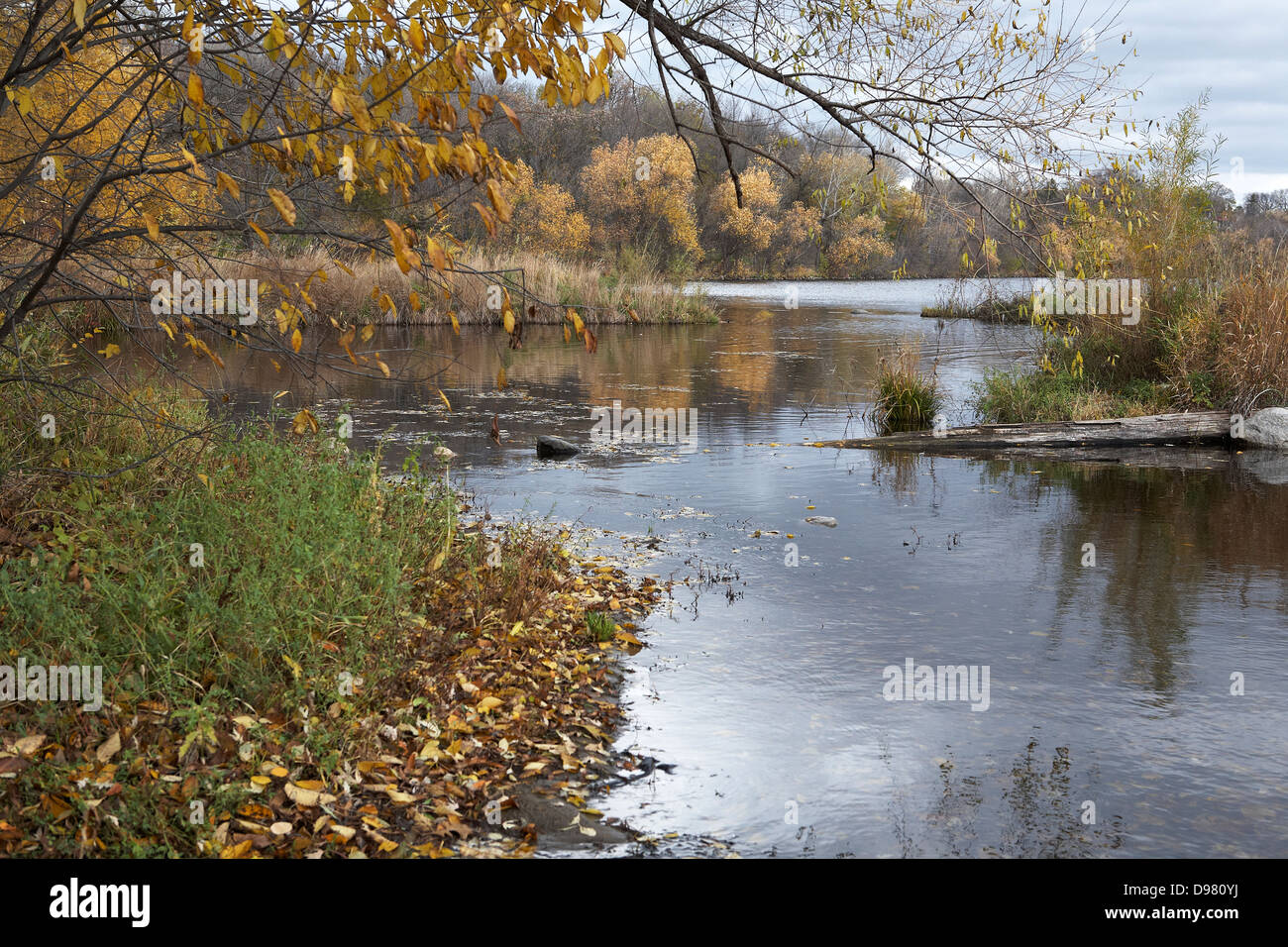 Landscape of Lake Harriet, Minneapolis Stock Photo Alamy