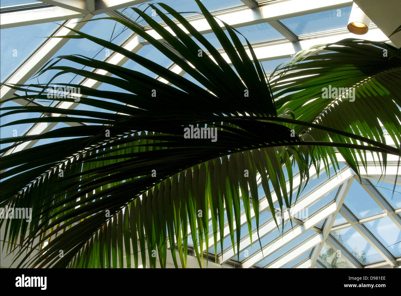 Glass ceiling in shopping mall. Stock Photo