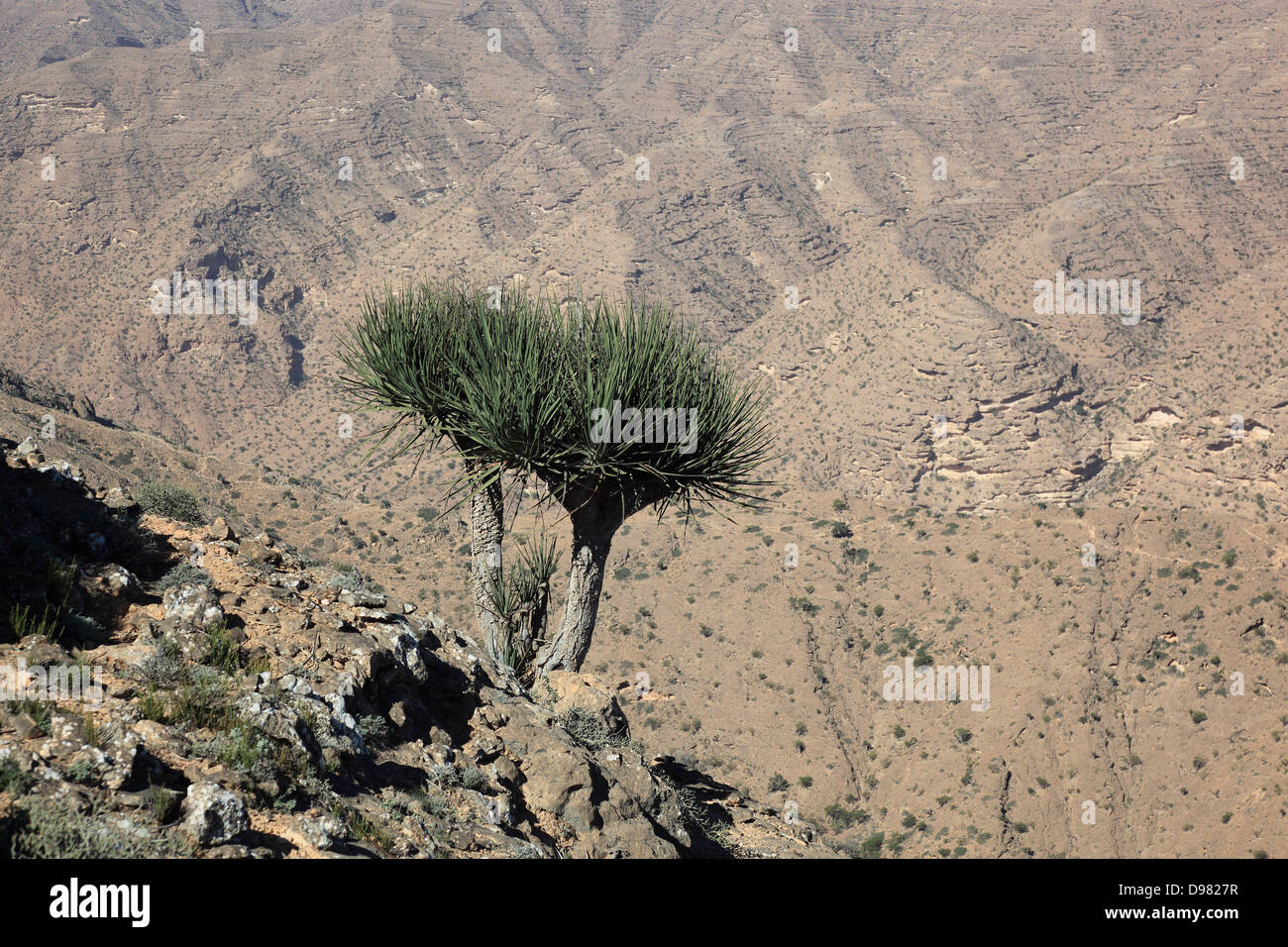 Scenery of the southern Dhofar, Jabal al-Qamar, Oman Stock Photo