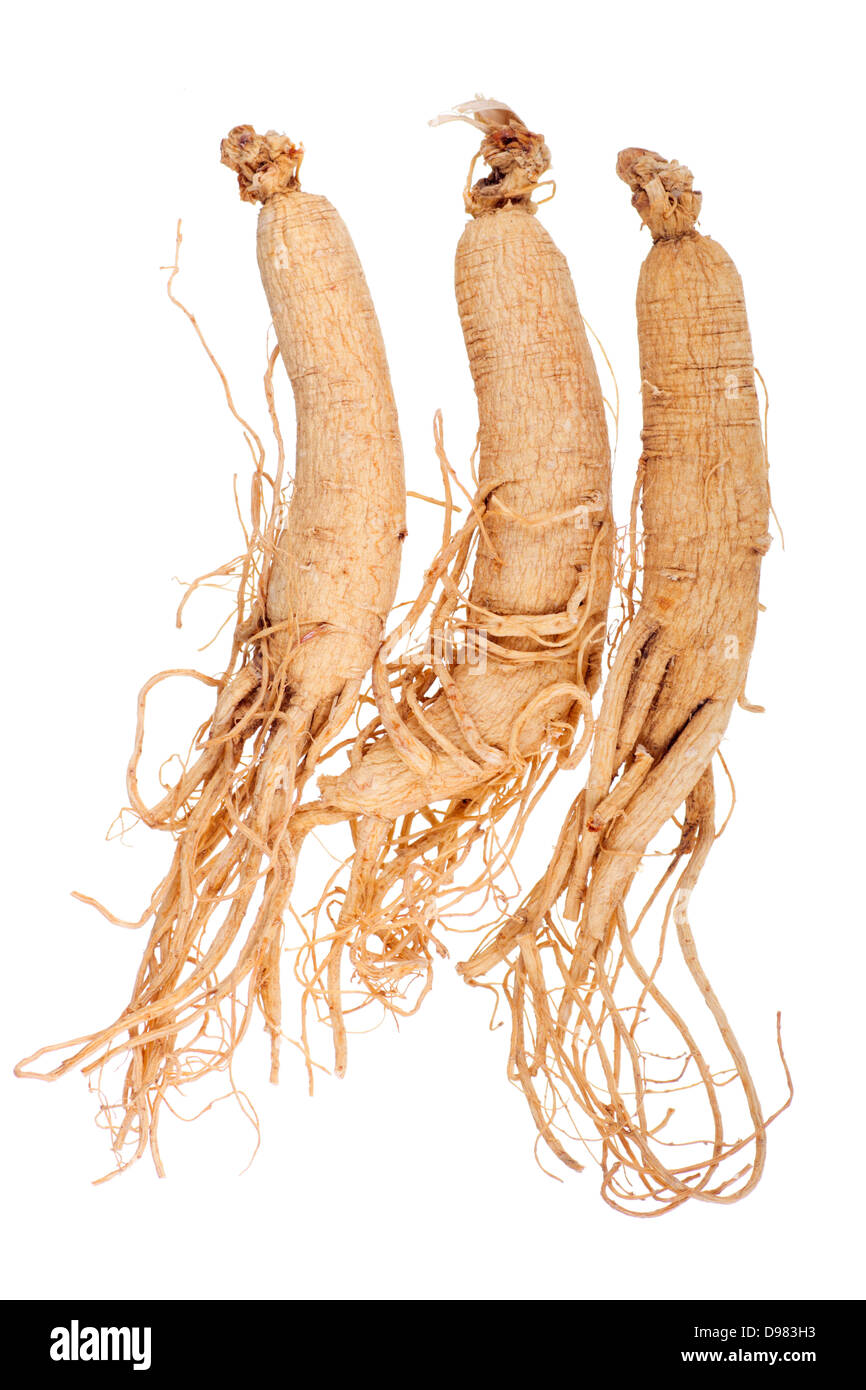 Dried Korean Ginseng Stock Photo Alamy