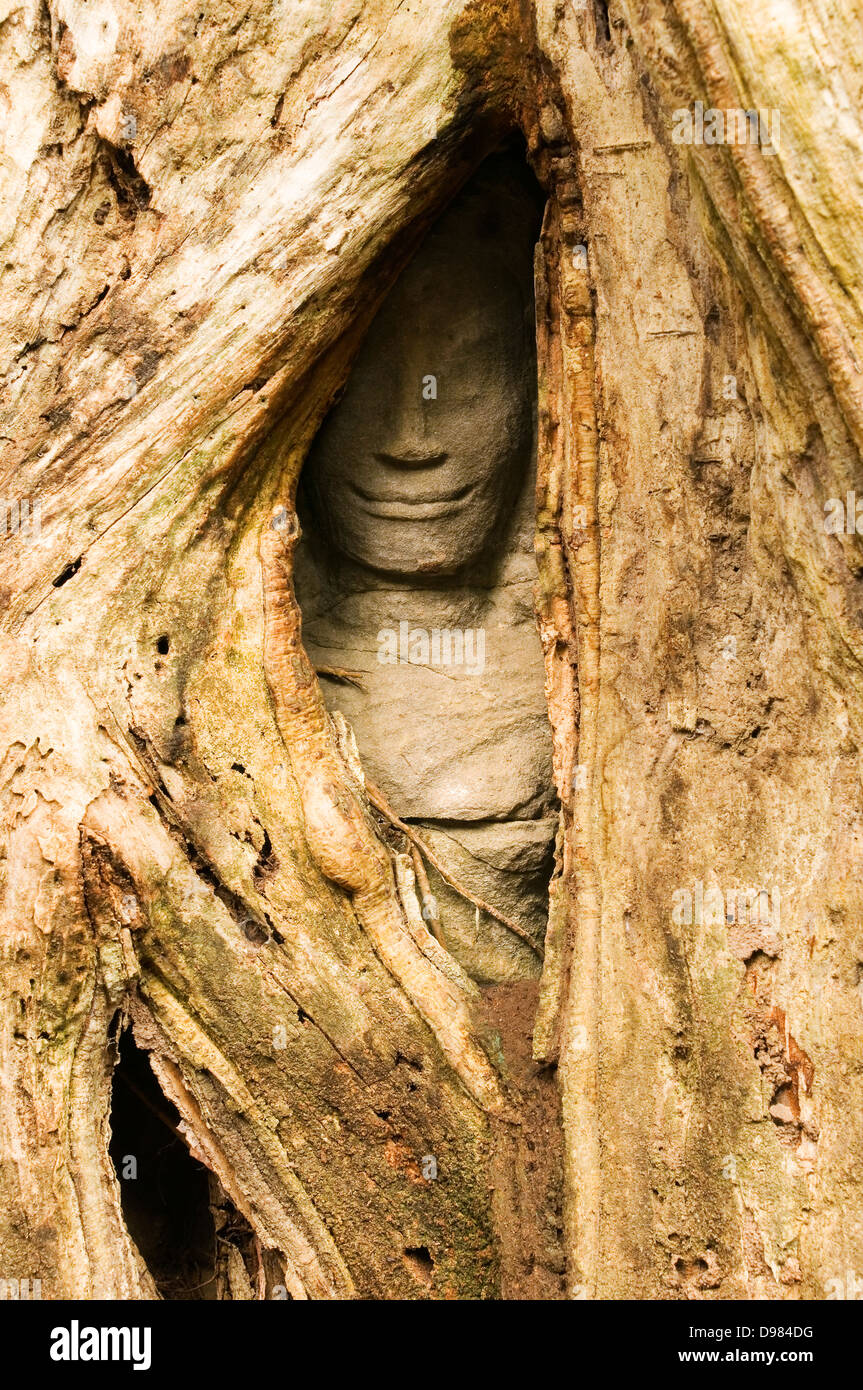 Hidden Face and Tree Roots, Ta Prohm temple, Angkor Wat, Cambodia Stock  Photo - Alamy