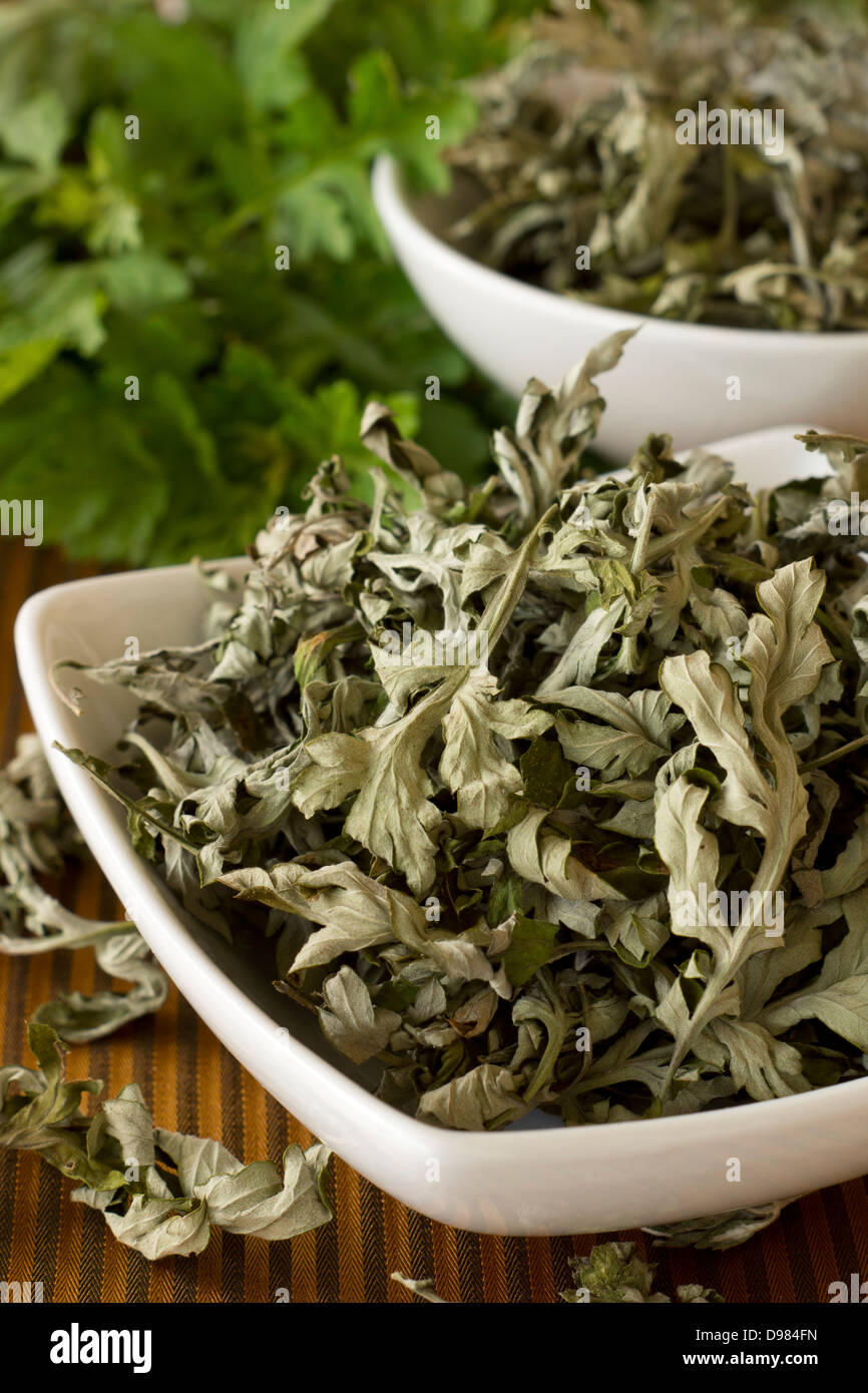 Dried mugwort hires stock photography and images Alamy