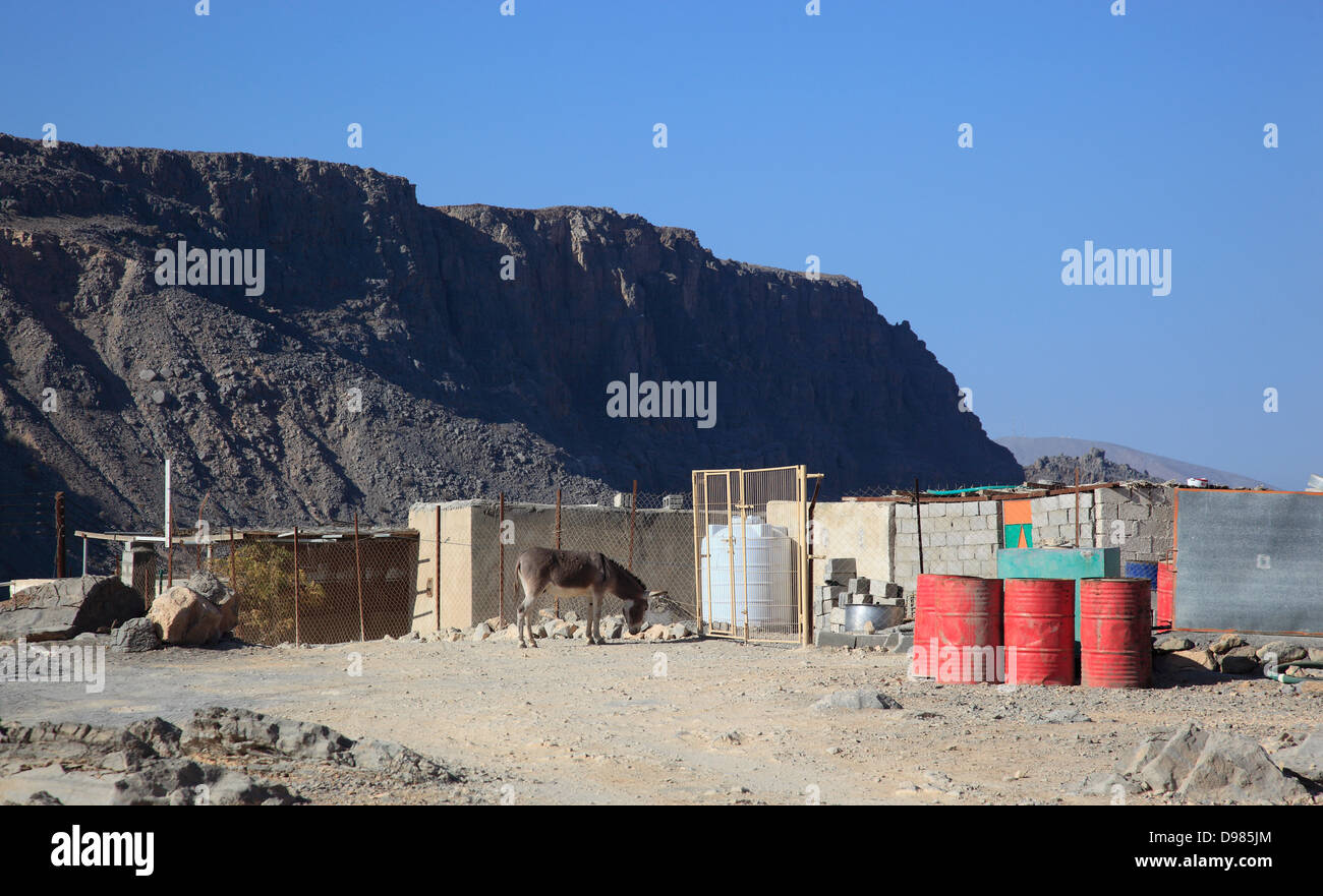 Scenery in the Jebel Harim area, in the granny's niches enclave of Musandam, Oman Stock Photo