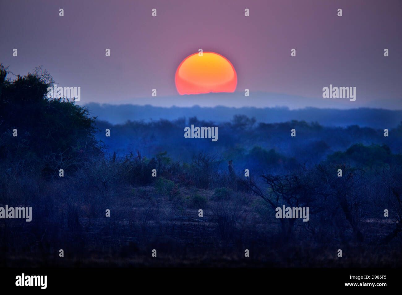 Sunset over the marsh area of the Phinda Game Reserve, South Africa Stock Photo