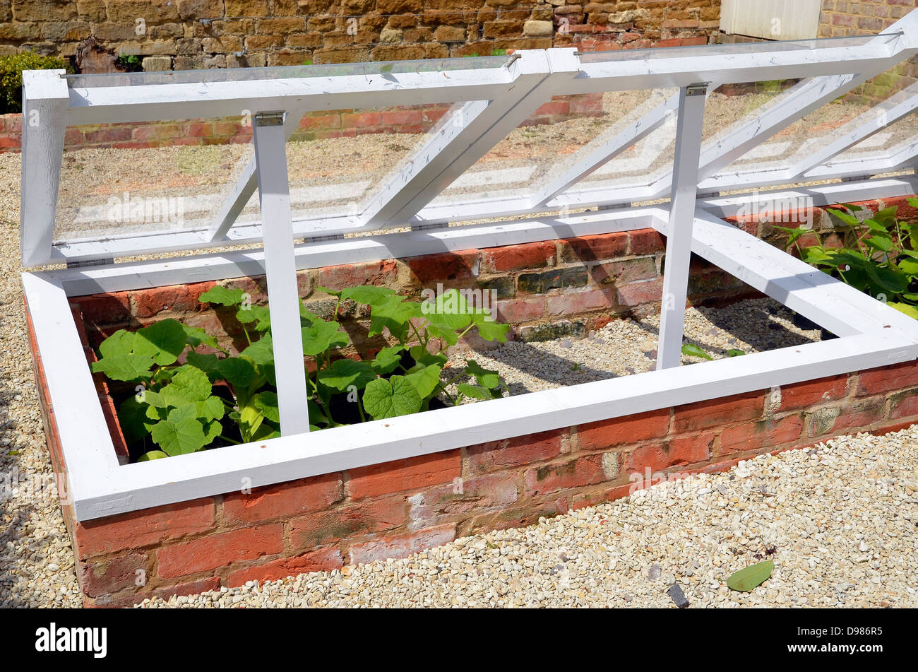 A cold frame used to protect and harden off tender plants  in an English garden. Stock Photo