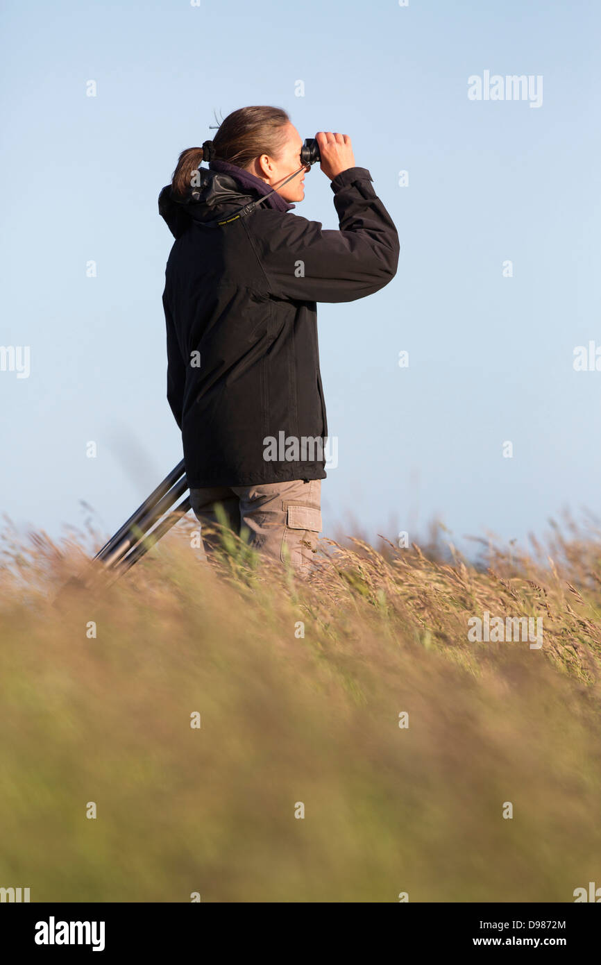 woman birdwatching on coast in hampshire UK Stock Photo
