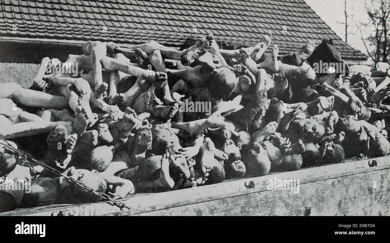 Buchenwald, Nazi concentration camp, established in 1937 and liberated in April 1945. Prisoners were used as forced labour in nearby munitions factories. A wagon load of the corpses of prisoners. Stock Photo