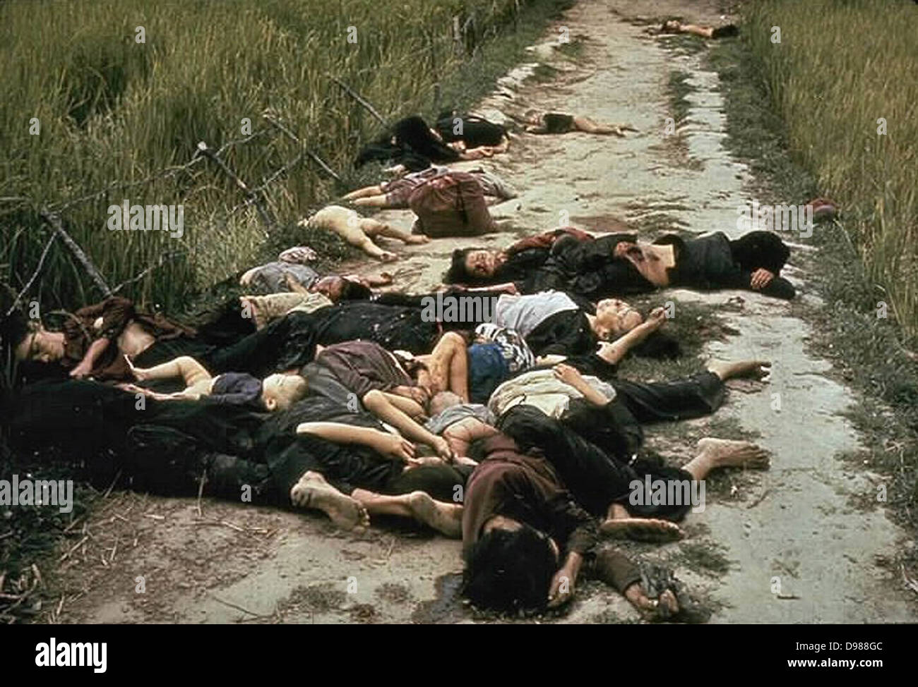 The My Lai Massacre, the mass murder of 347 to 504 unarmed citizens of the Republic of Vietnam (South Vietnam), almost entirely civilians and the majority of them women and children, perpetrated by US Army forces on March 16 1968. Bodies of some of the victims lying along a road. Stock Photo