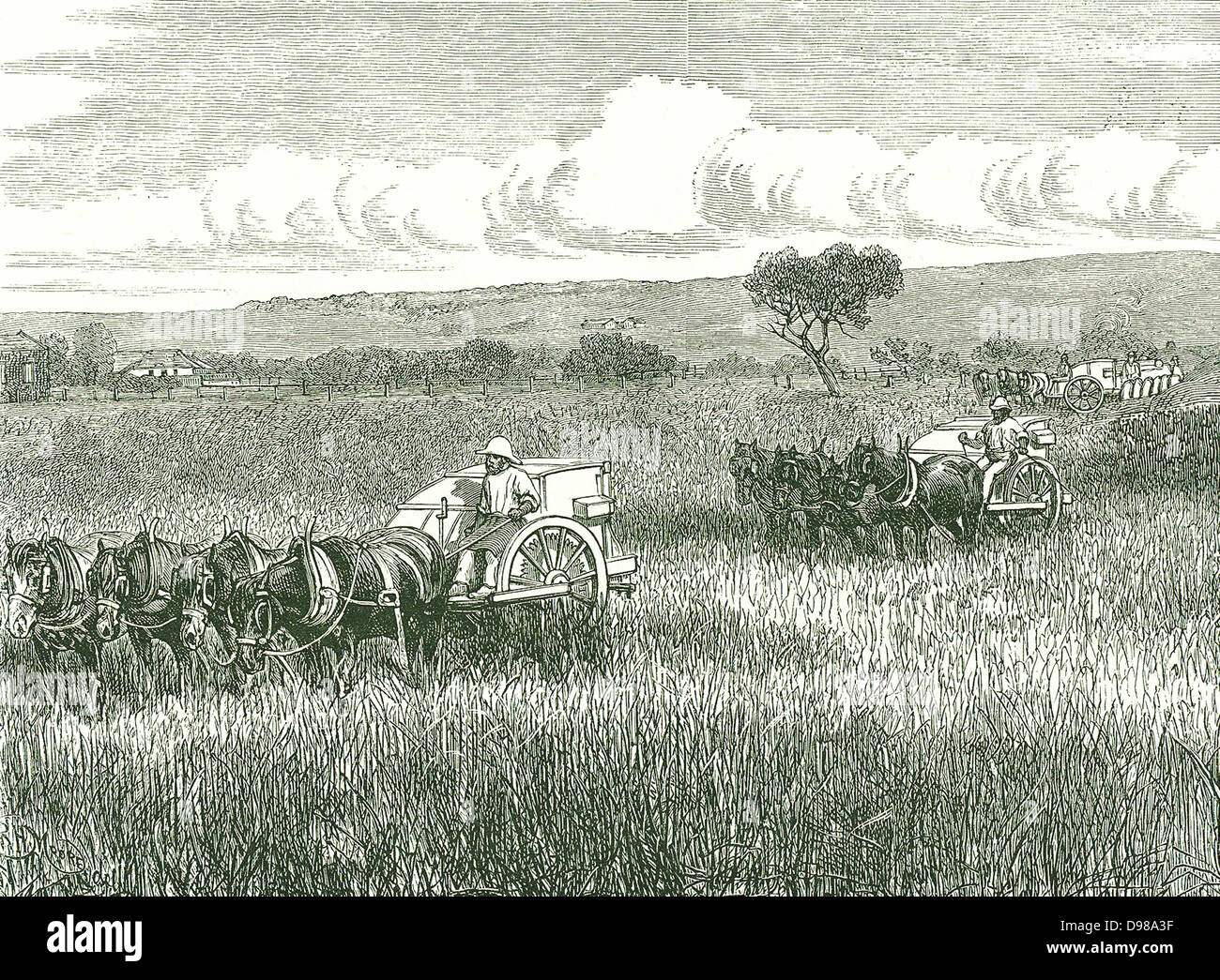 Horse drawn combine harvesters hires stock photography and images Alamy