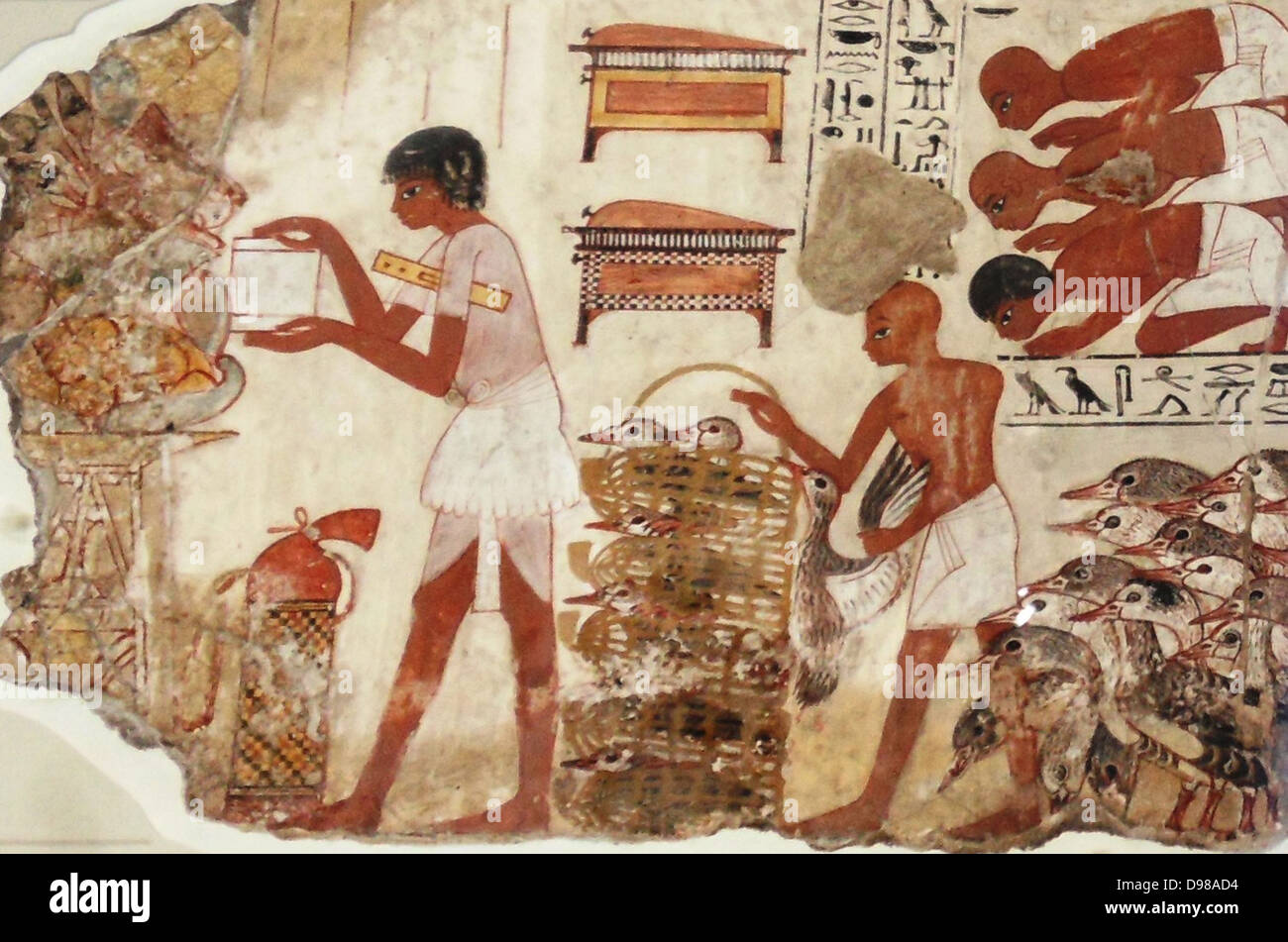 These paintings are parts of a wall showing Nebanum inspecting geese and cattle.  He watches as farmers bring the animals to him while his scribes record the number of animals for him. Stock Photo