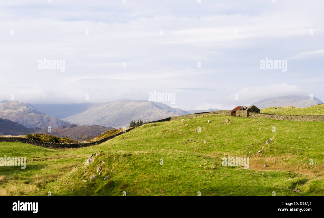 A view of a green field on a hill-side with stone fence and cloud ...