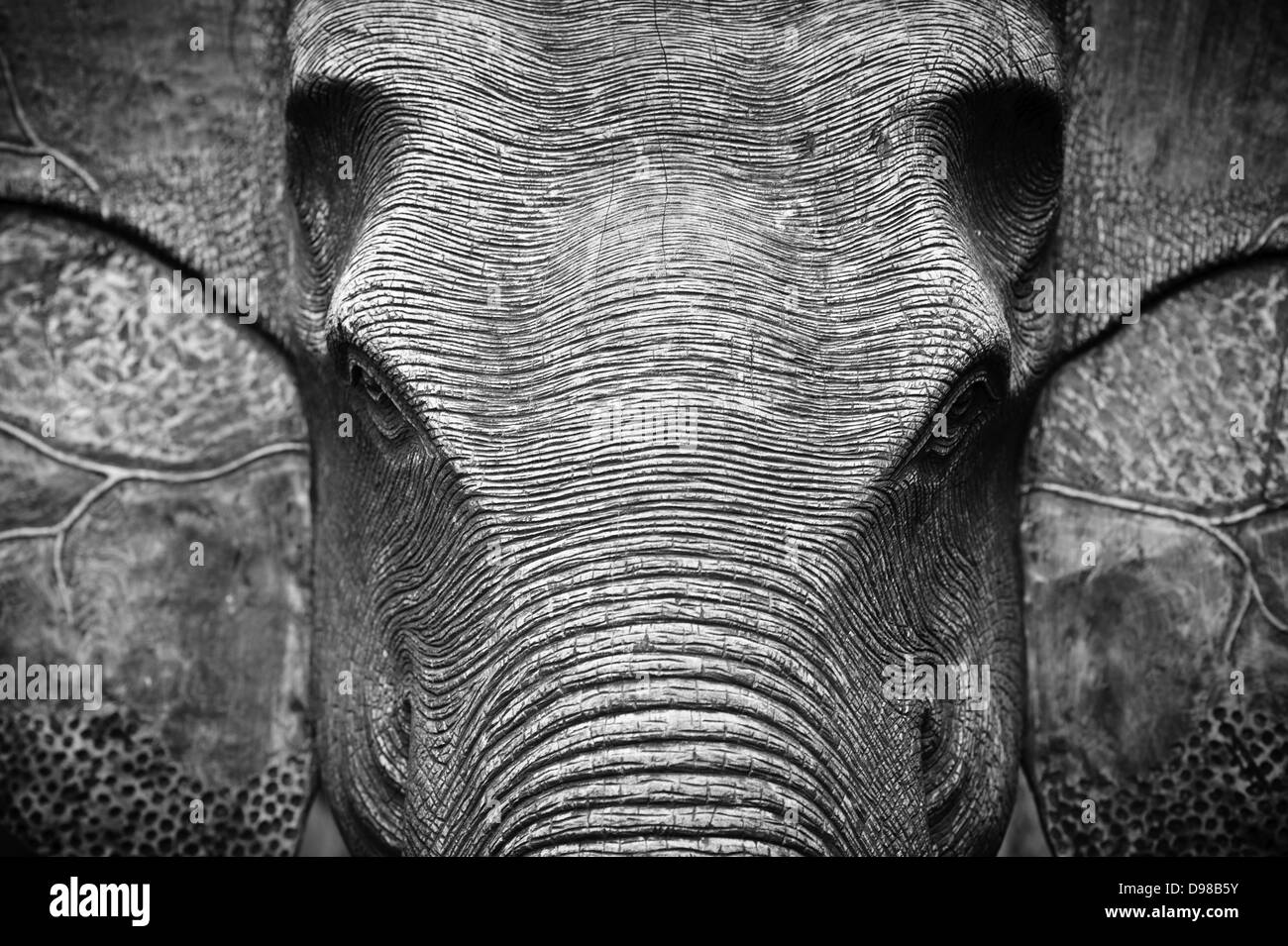 Elephant head hires stock photography and images Alamy