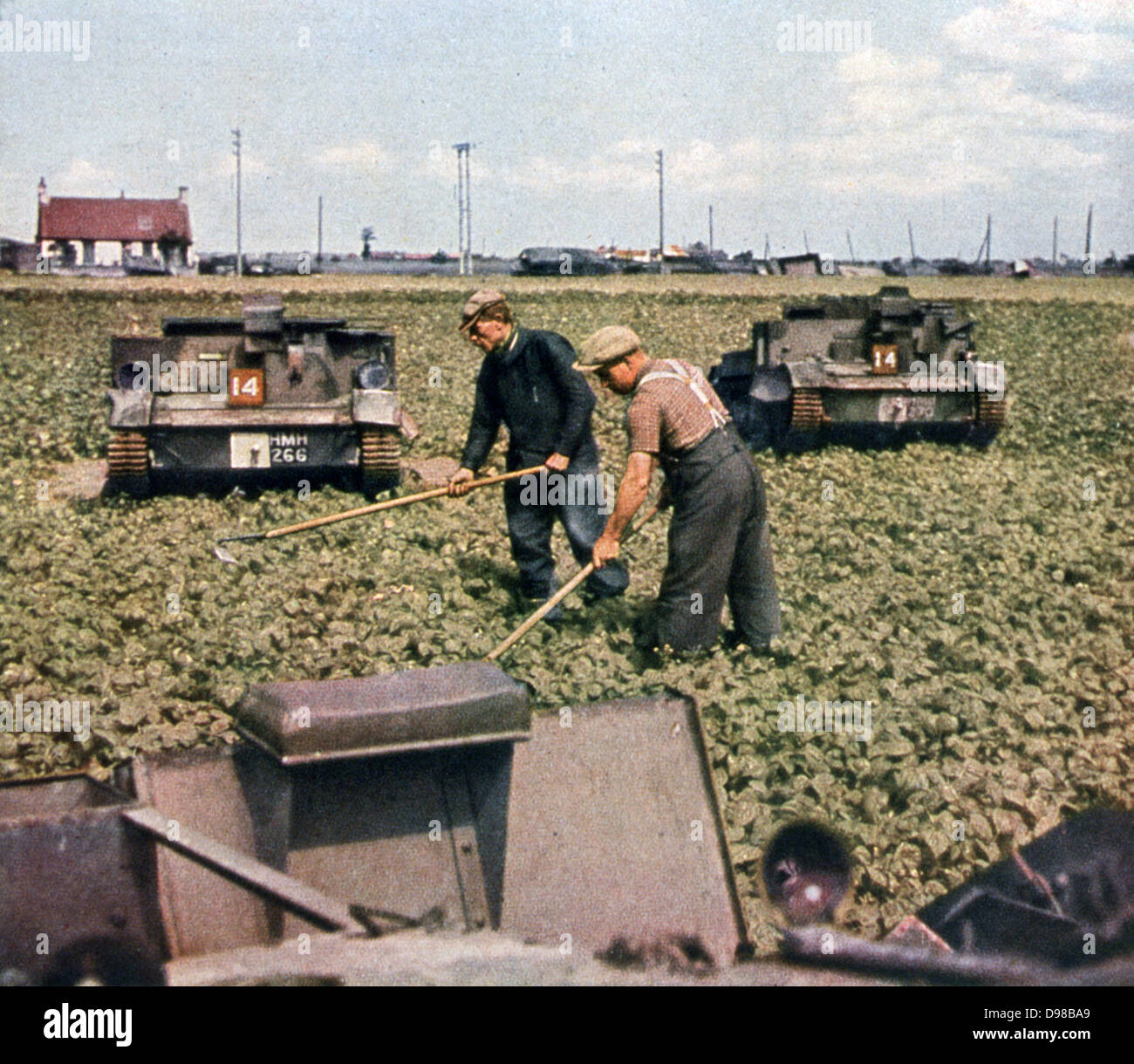 World War II 19391945 French farm workers hoeing a crop in a field