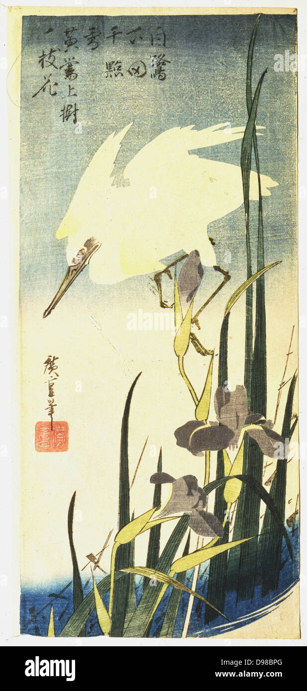 White Heron and Purple Iris', c1830. Coloured Woodblock print. Ando Hiroshige also called Ando Tokutaro (1797-1858) Japanese artist and printmaker. Stock Photo