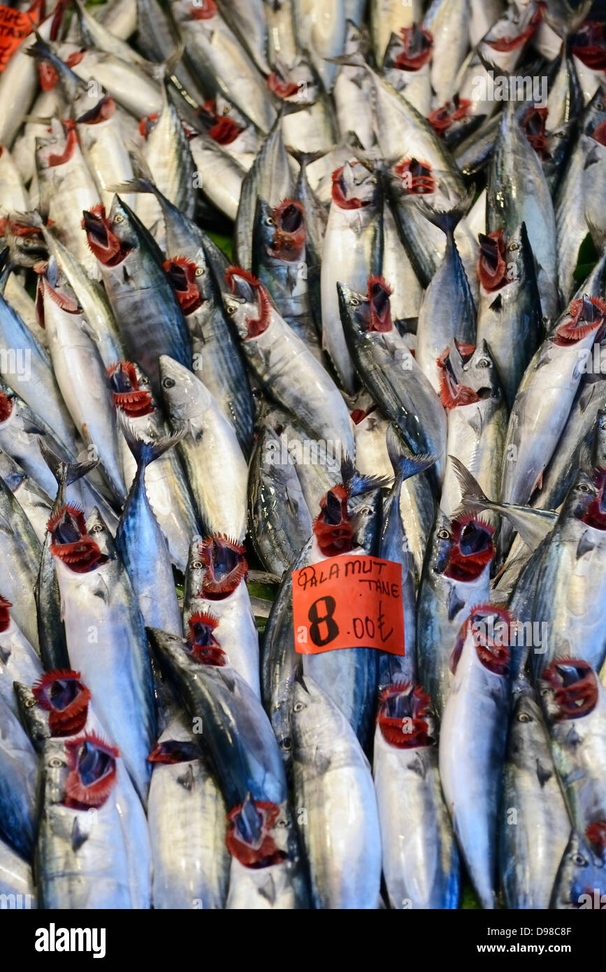 Turkey, Istanbul, Fresh fish, close up Stock Photo