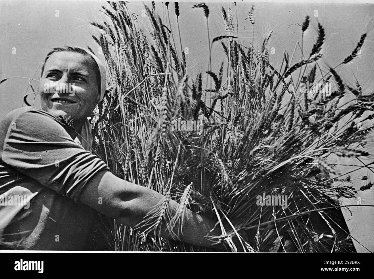 Female collectivew farmer smiling as she holds a sheaf of newly-harvested wheat. Krasnodar district, USSR, 1930-1940. Stock Photo