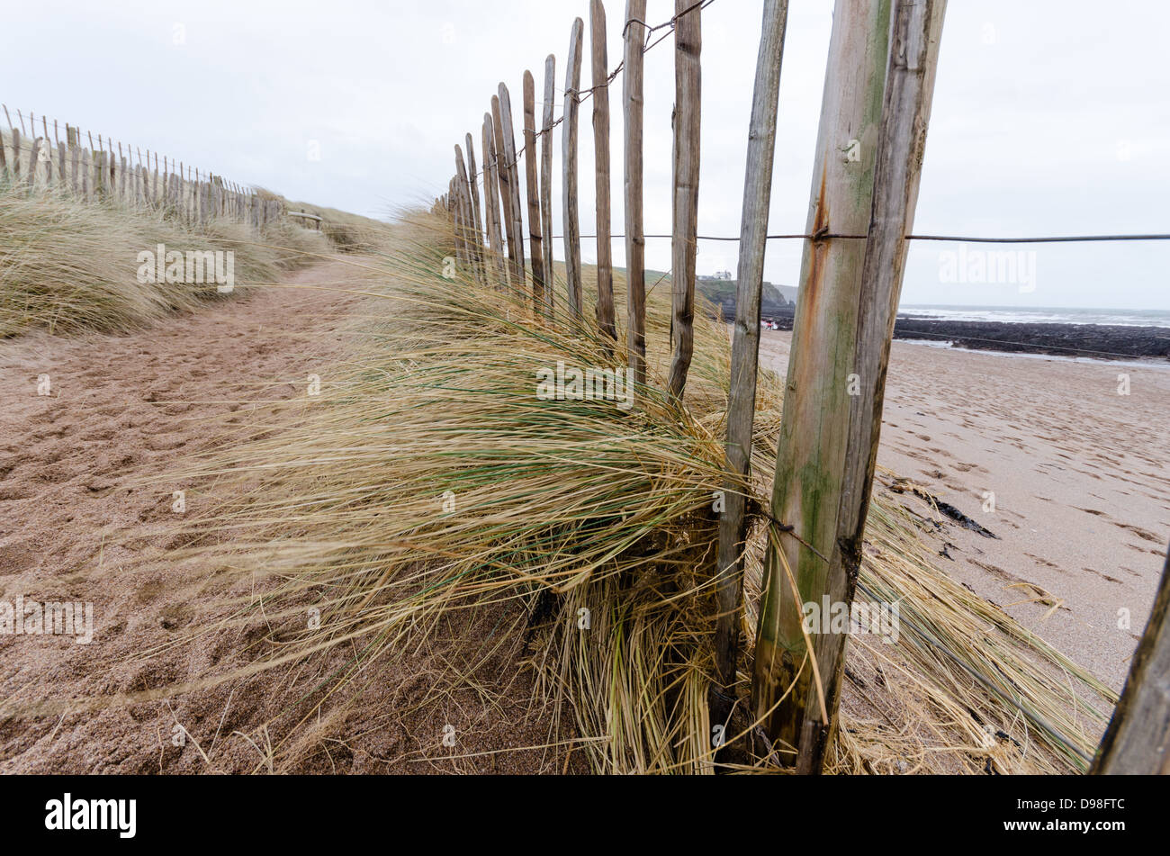 Fencing placed to prevent land erosion on South Milton Sands near Thurlestone in Devon Stock Photo