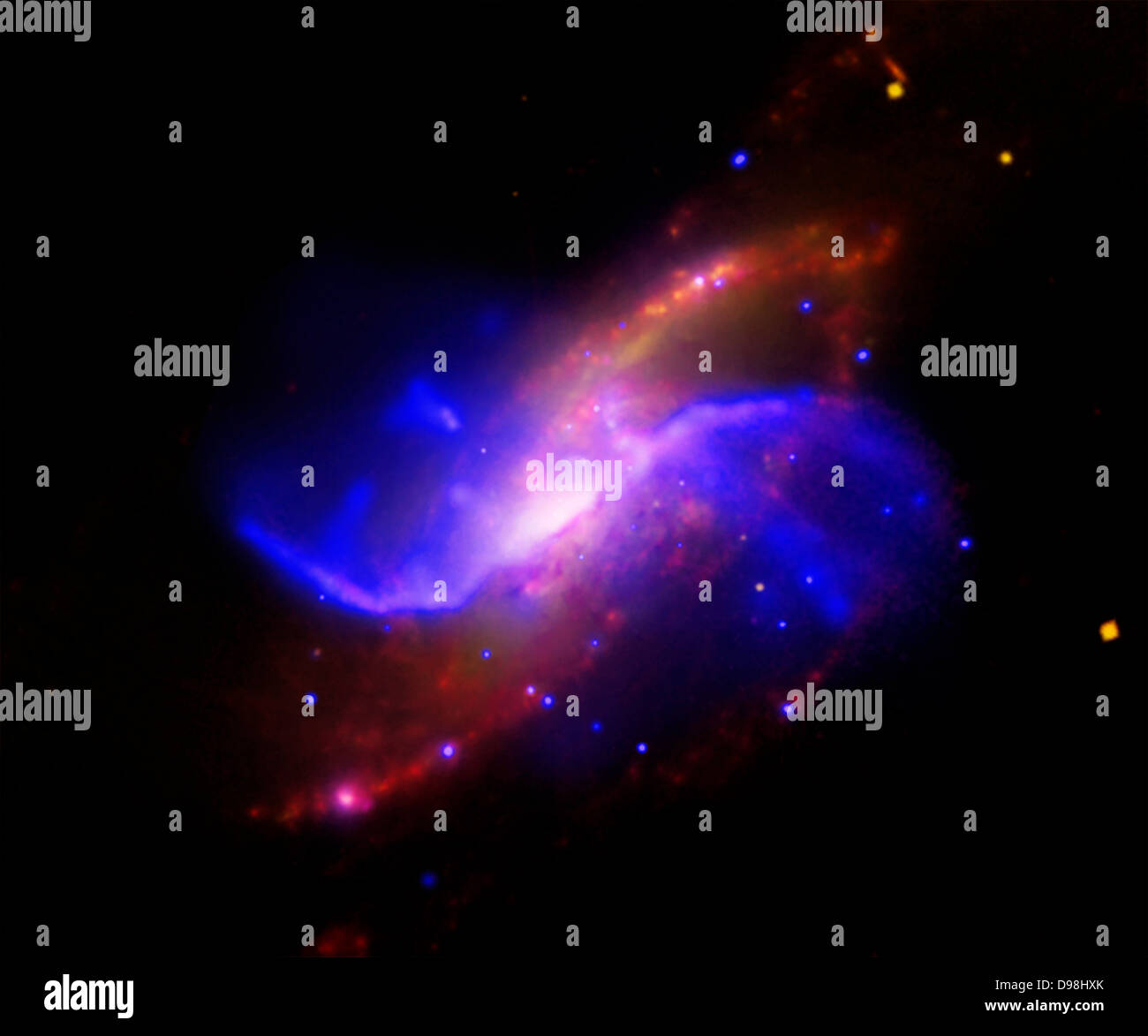 In this composite image of spiral galaxy M106 (NGC 4258), optical data from the Digitized Sky Survey is shown as yellow, radio data from the Very Large Array appears as purple, X-ray data from Chandra is coded blue, and infrared data from the Spitzer Space Telescope appears red. Two anomalous arms, which aren't visible at optical wavelengths, appear as purple and blue emission. Stock Photo