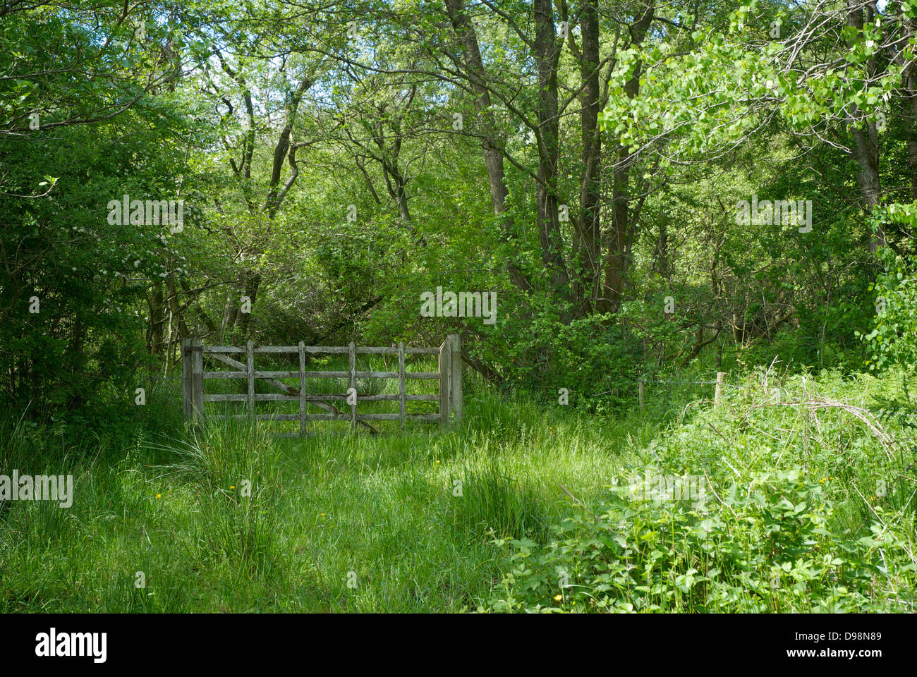 Drumburgh moss one cumbria wildlife hi-res stock photography and images ...