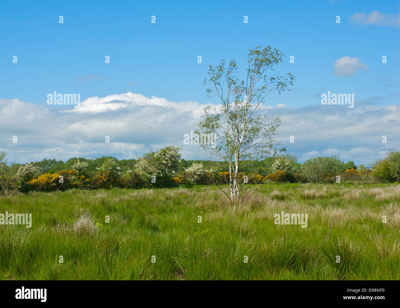 Drumburgh reserve hi-res stock photography and images - Alamy