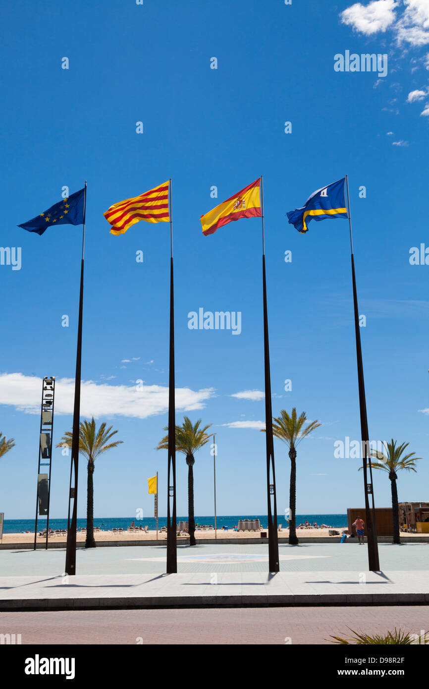 Flags of regions of Spain on flagpoles against blue sky with palm trees on promenade. Stock Photo