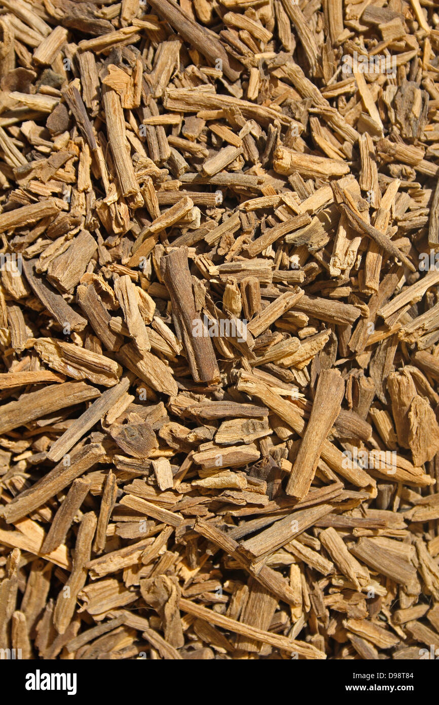 Incense tree hires stock photography and images Alamy